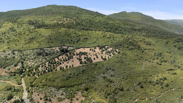 MLS #NDP2507155 image #4