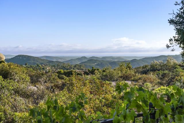 MLS #NDP2507354 image #4