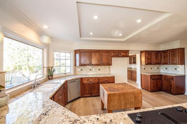 MLS #250041748SD image #16