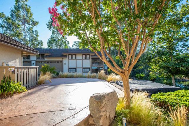 MLS #250041748SD image #29