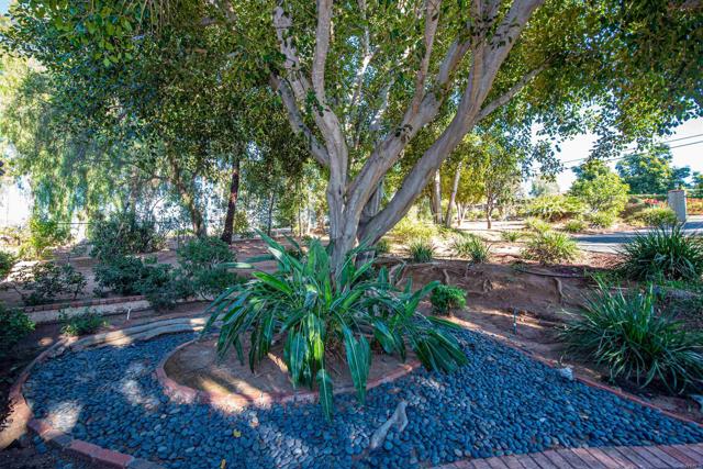 MLS #250041748SD image #36