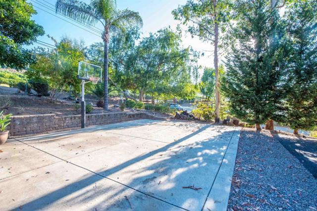 MLS #250041748SD image #39