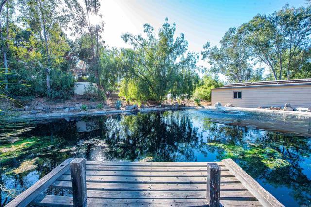 MLS #250041748SD image #44