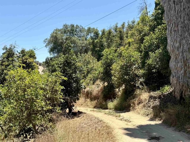 MLS #NDP2507537 image #29