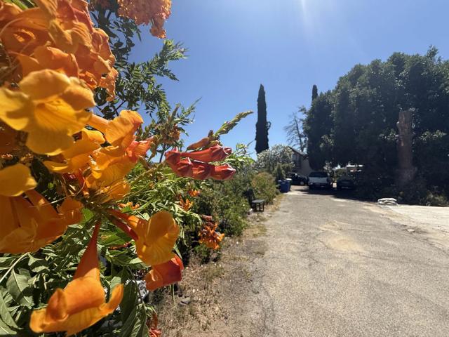 MLS #NDP2507537 image #33