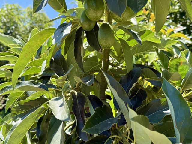 MLS #NDP2507537 image #34