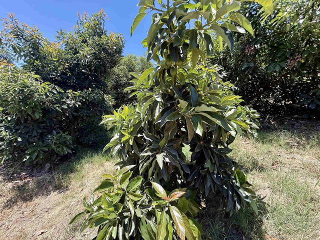 MLS #NDP2507537 image #35