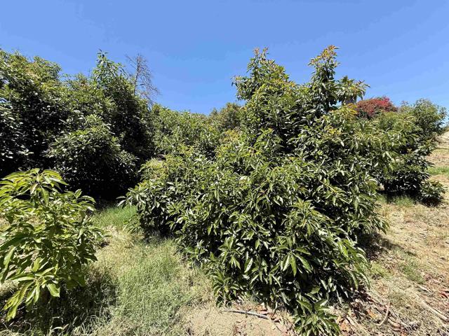 MLS #NDP2507537 image #38