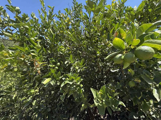 MLS #NDP2507537 image #42