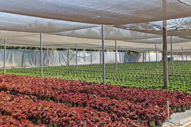 MLS #NDP2508051 image #24