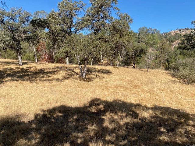 MLS #NDP2508213 image #1