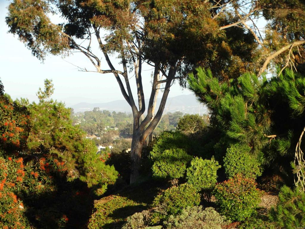 MLS #NDP2508215 image #23