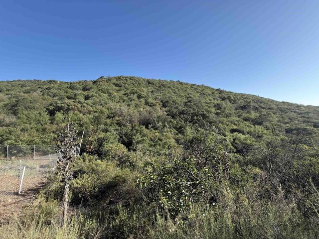 MLS #NDP2508460 image #13