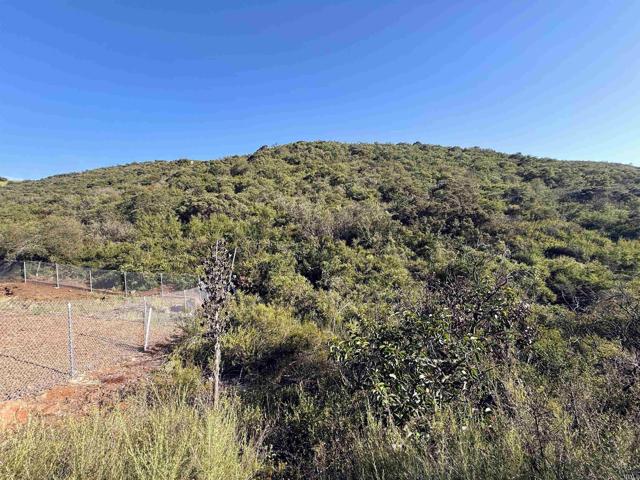 MLS #NDP2508460 image #22