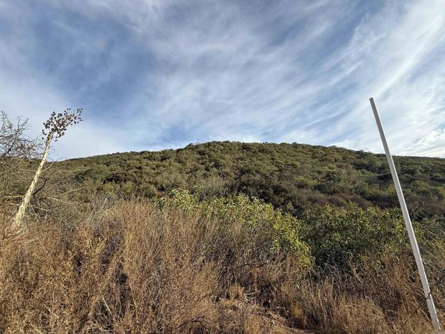 MLS #NDP2508460 image #24