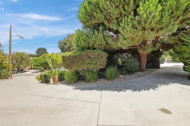 MLS #NDP2508528 image #5