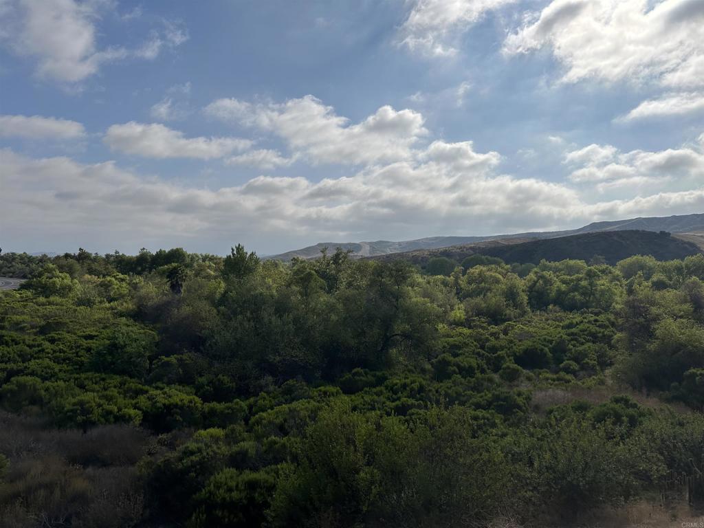 MLS #NDP2508591 image #24