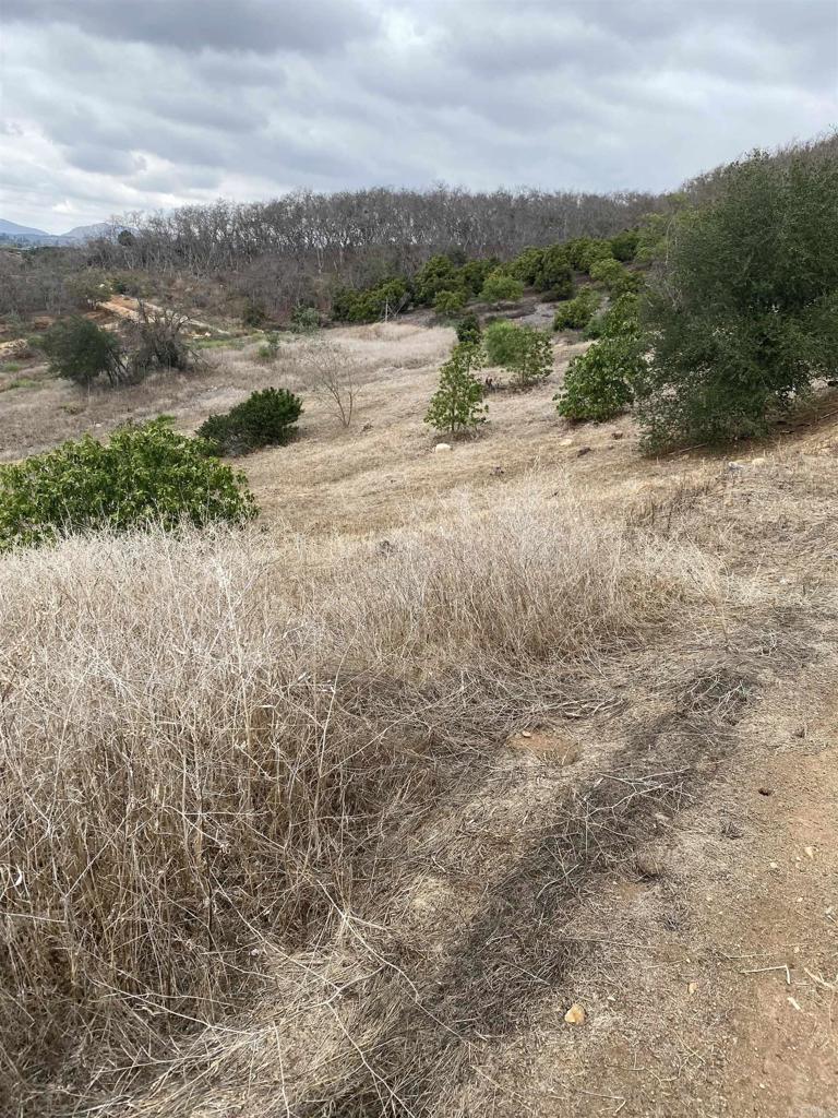 MLS #NDP2508679 image #2