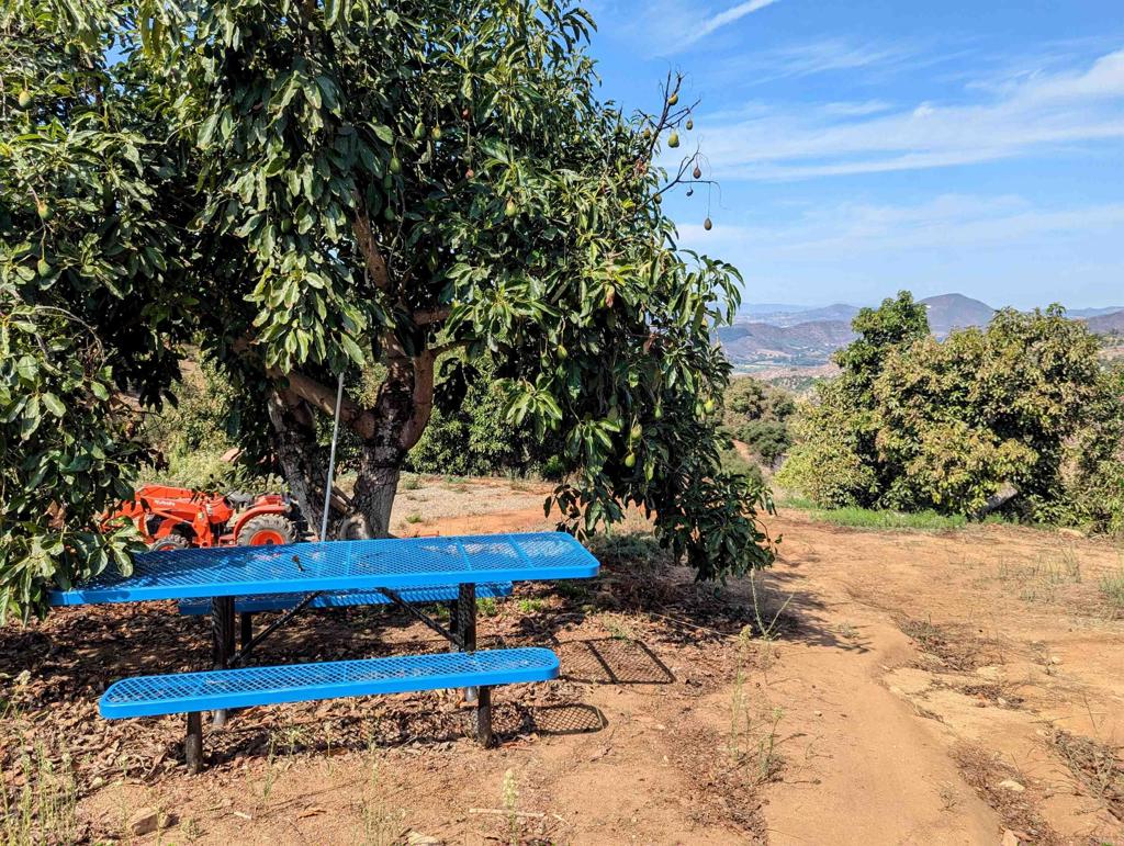 MLS #NDP2508737 image #11