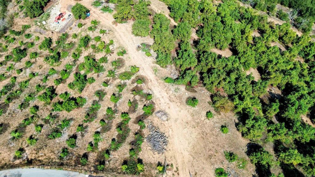 MLS #NDP2508737 image #12