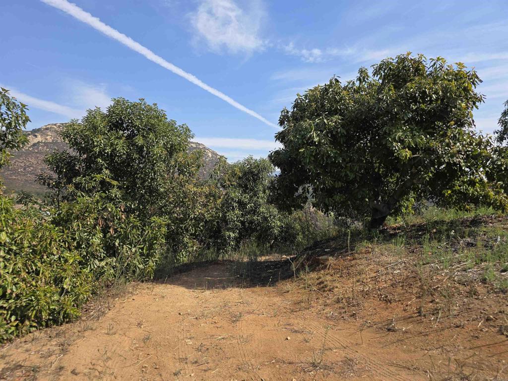 MLS #NDP2508737 image #16