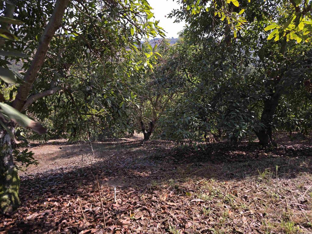 MLS #NDP2508737 image #17