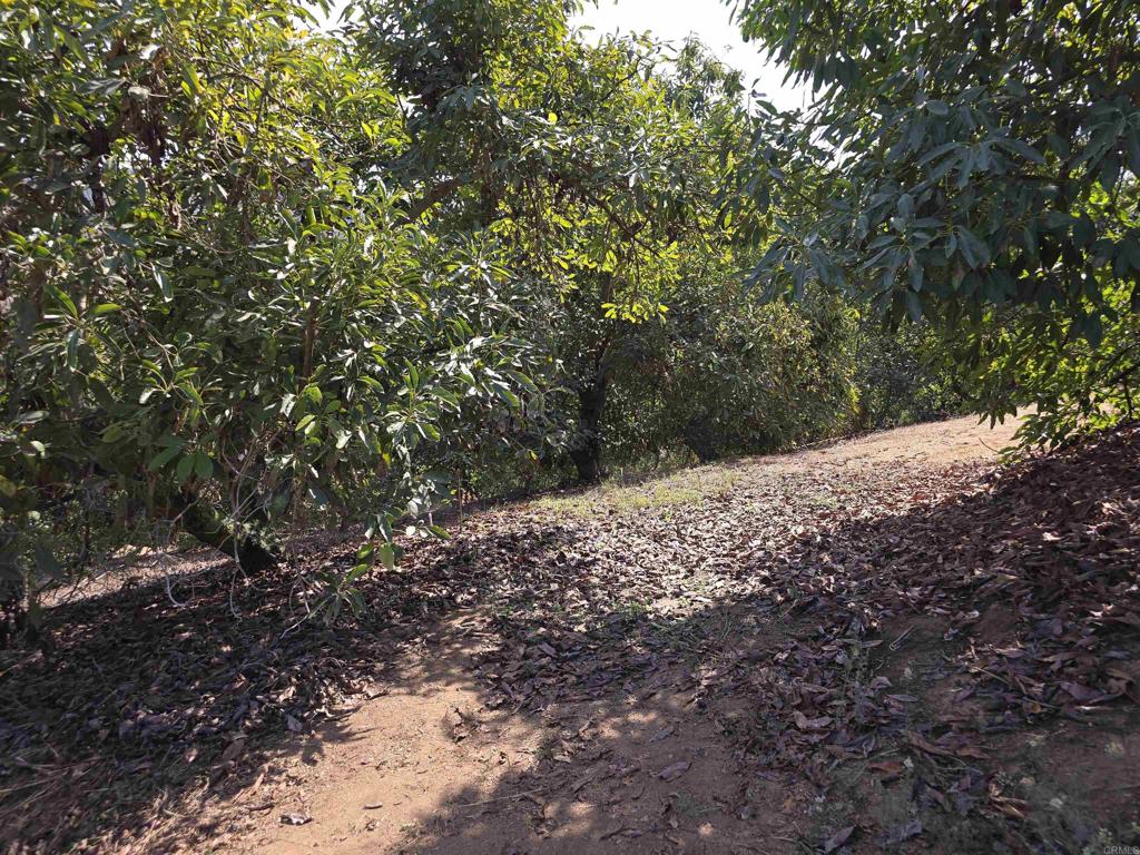 MLS #NDP2508737 image #18