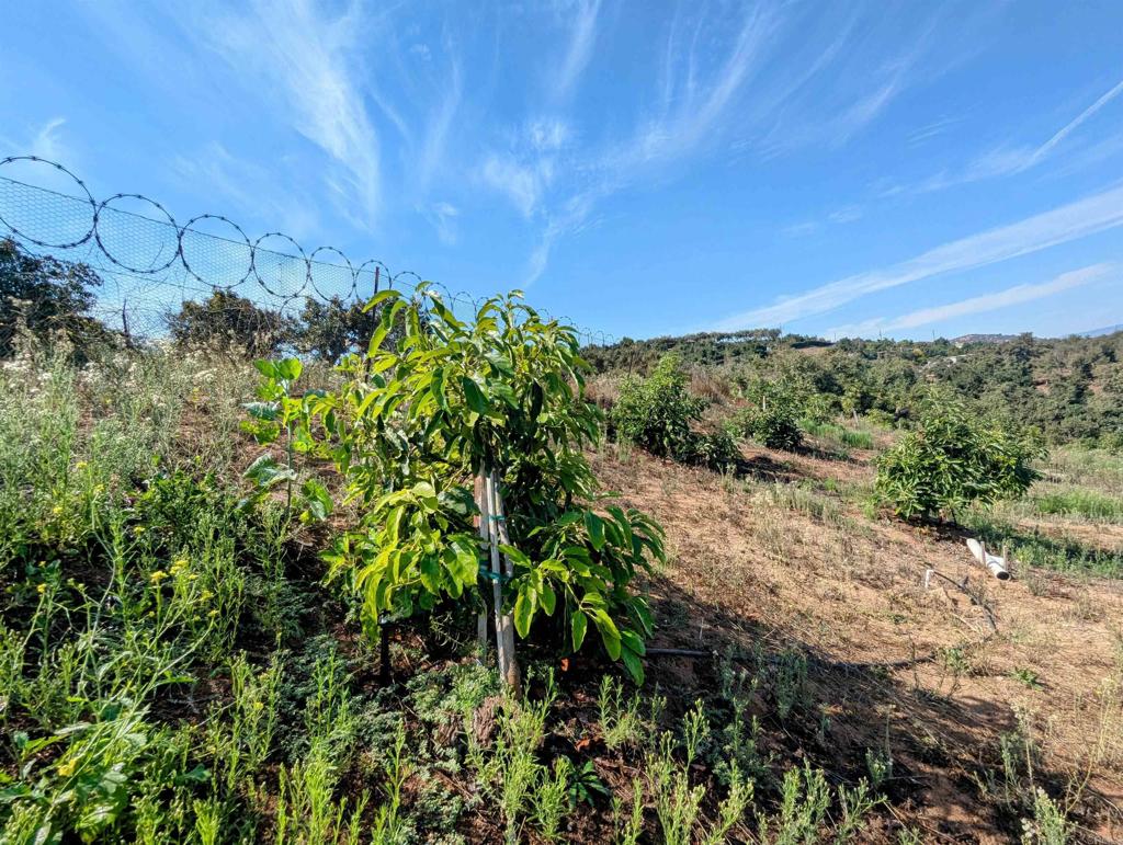 MLS #NDP2508737 image #19