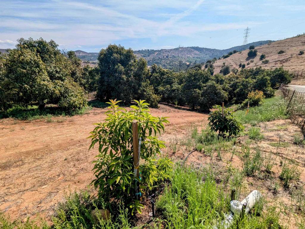 MLS #NDP2508737 image #21