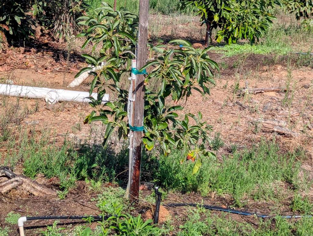 MLS #NDP2508737 image #22