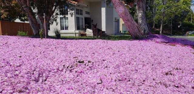 MLS #NDP2508847 image #39