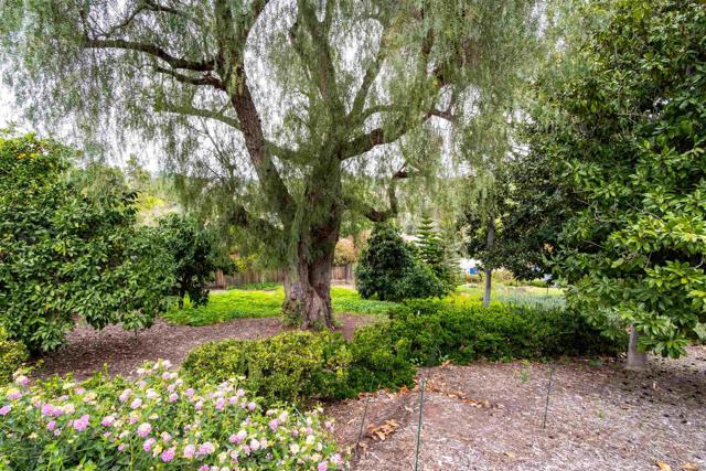 MLS #NDP2509176 image #41