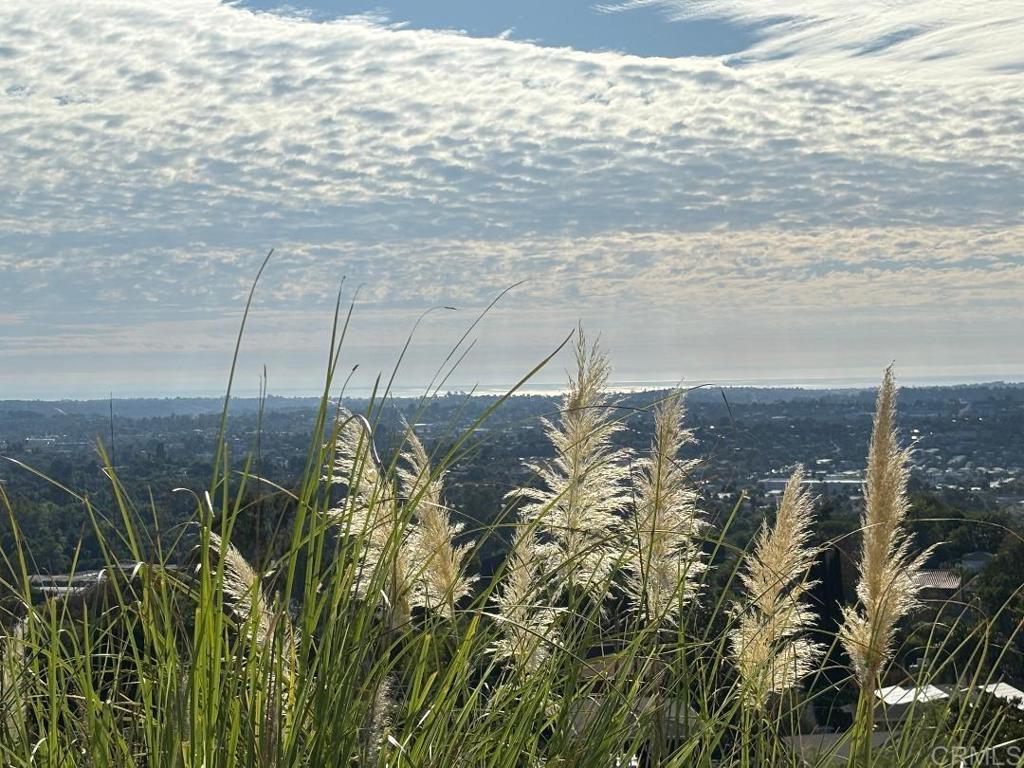 MLS #NDP2509201 image #4