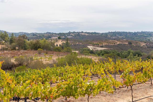 MLS #NDP2509330 image #1