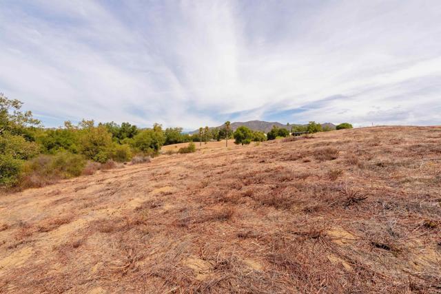 MLS #NDP2509330 image #3