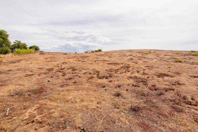 MLS #NDP2509330 image #4