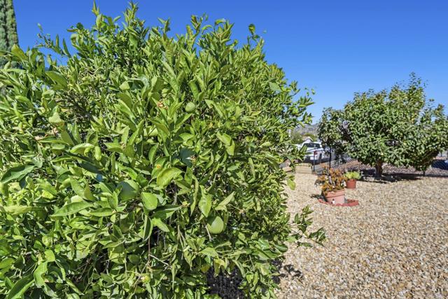 MLS #NDP2509544 image #12