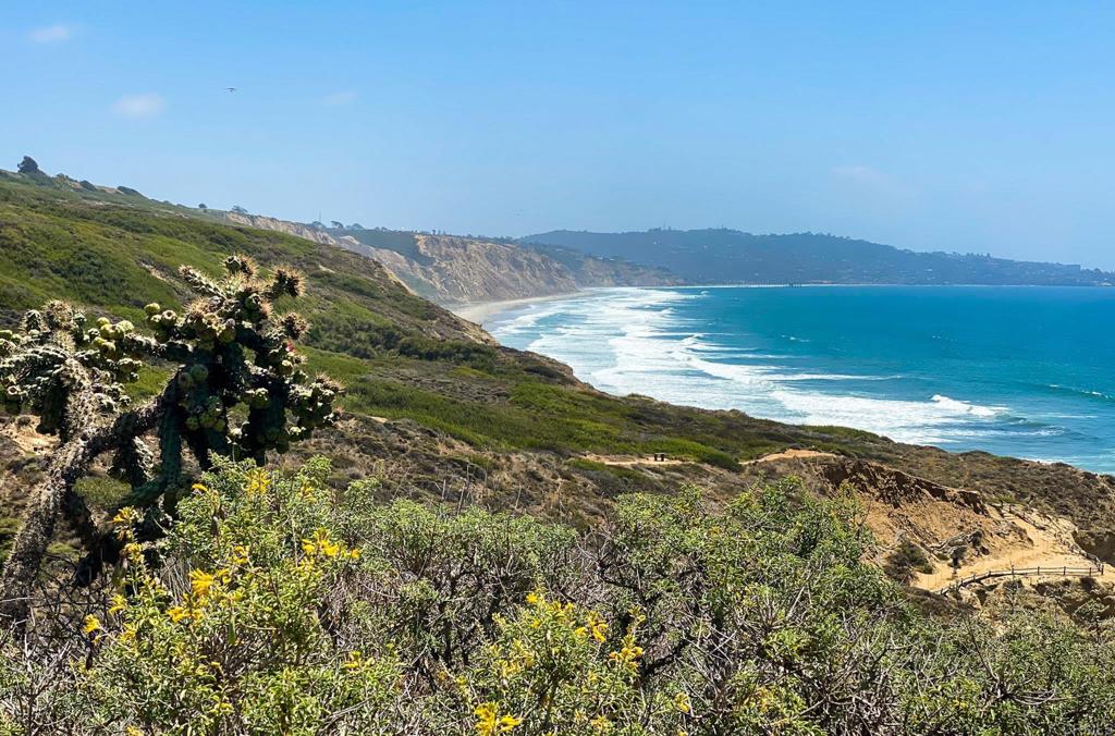 MLS #NDP2509567 image #42