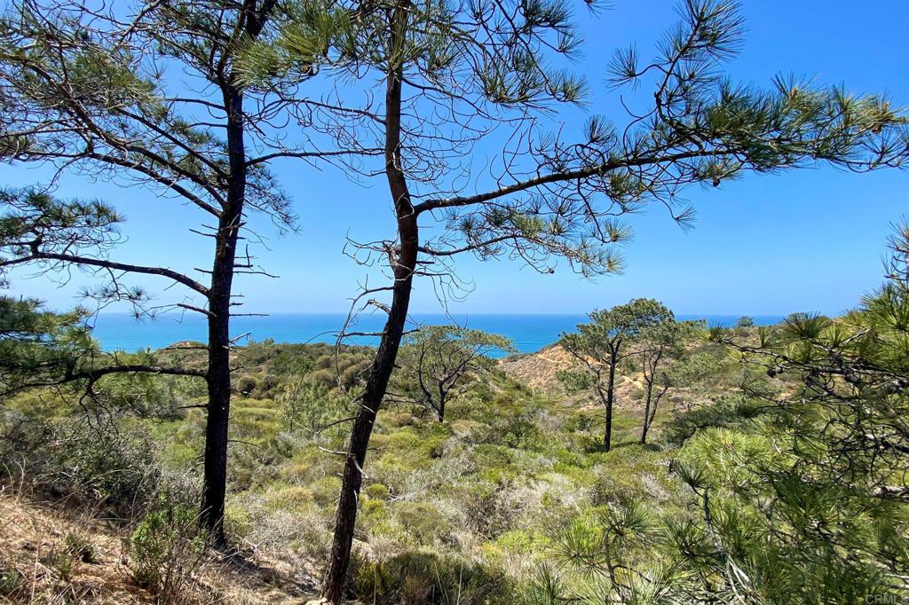 MLS #NDP2509567 image #43