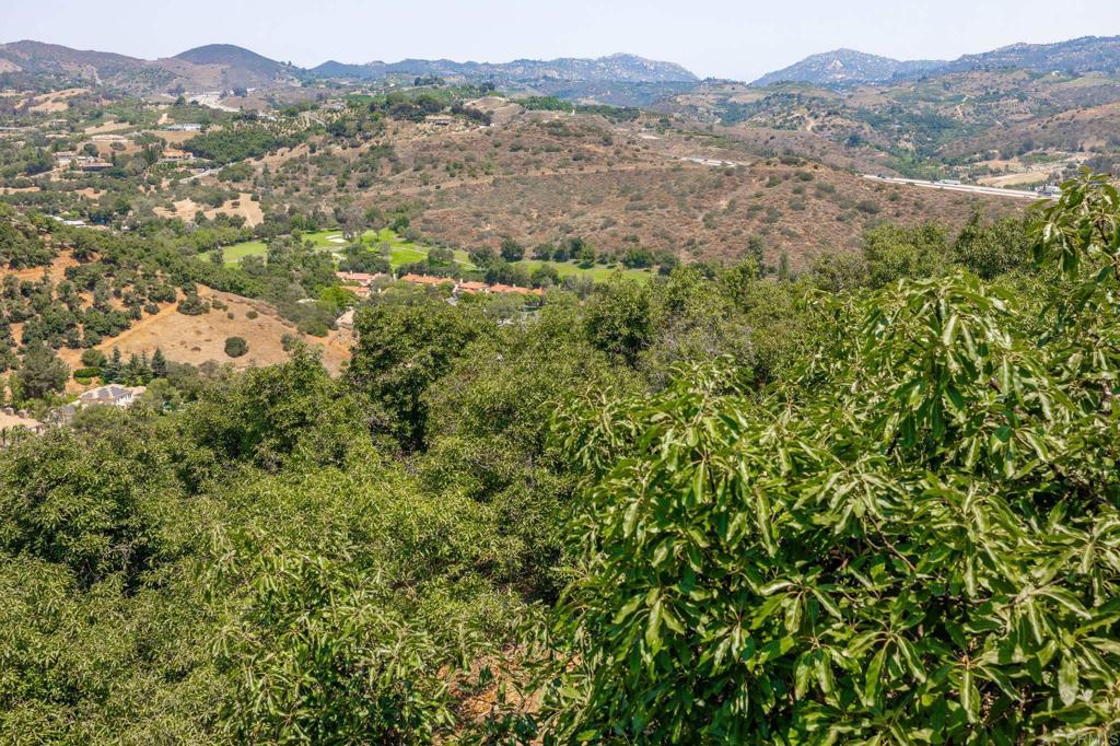 MLS #NDP2509570 image #46