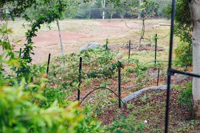 MLS #NDP2509617 image #33