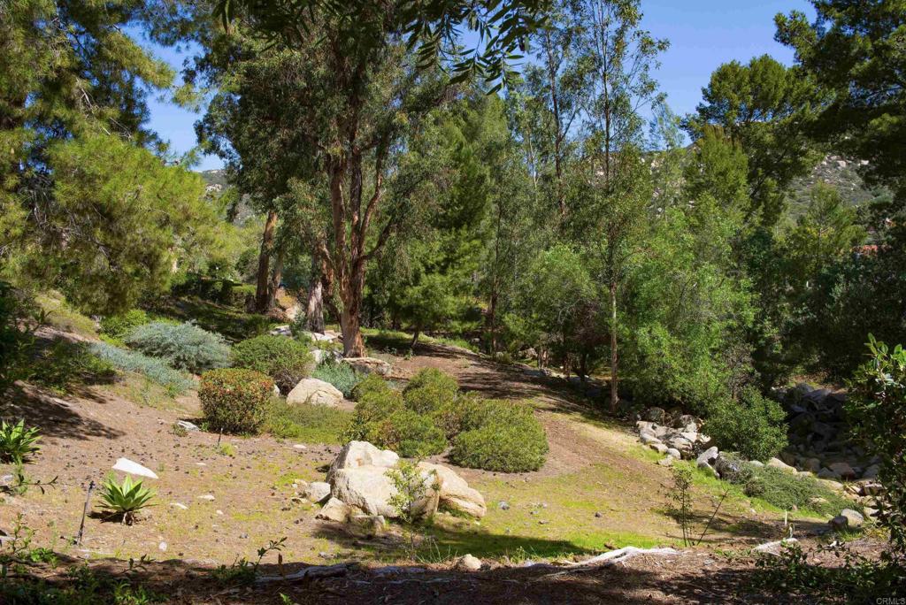 MLS #NDP2509724 image #28