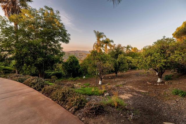 MLS #NDP2509565 image #49