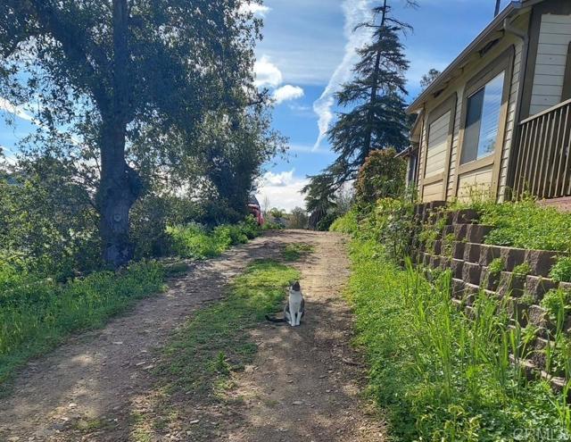 MLS #NDP2509850 image #5