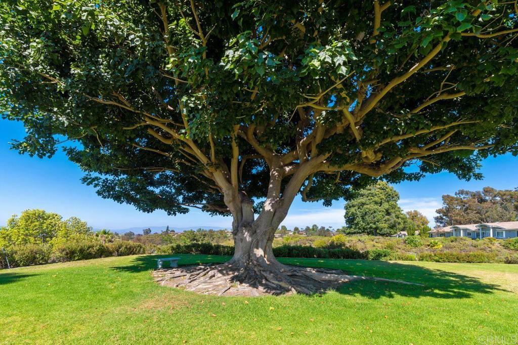 MLS #NDP2510008 image #29