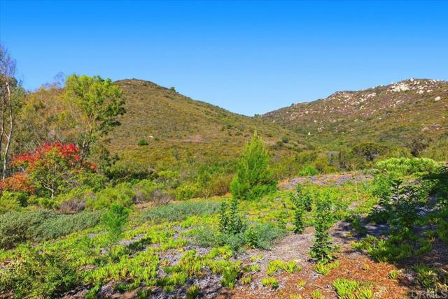 MLS #NDP2510017 image #33