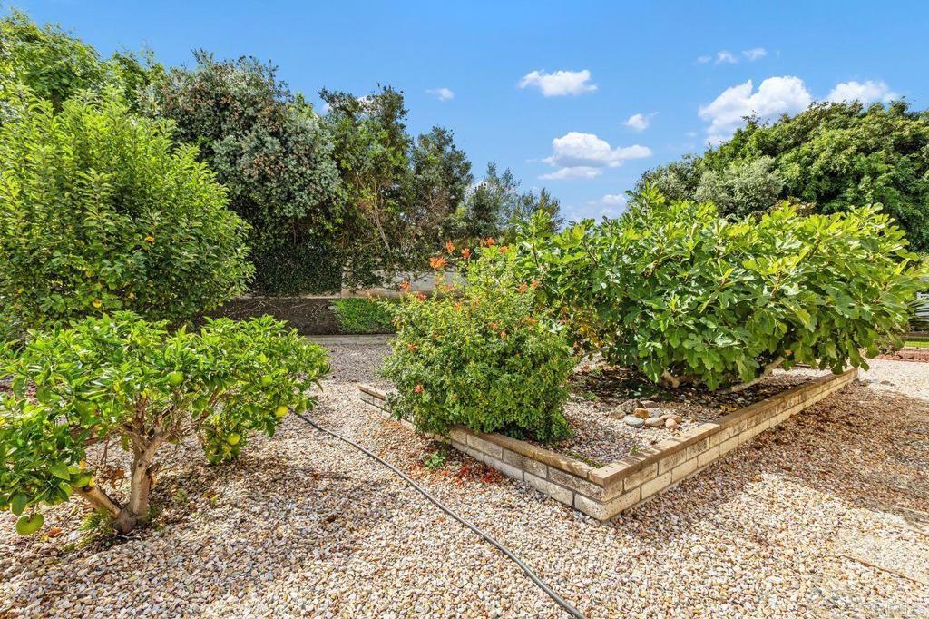 MLS #NDP2510047 image #40