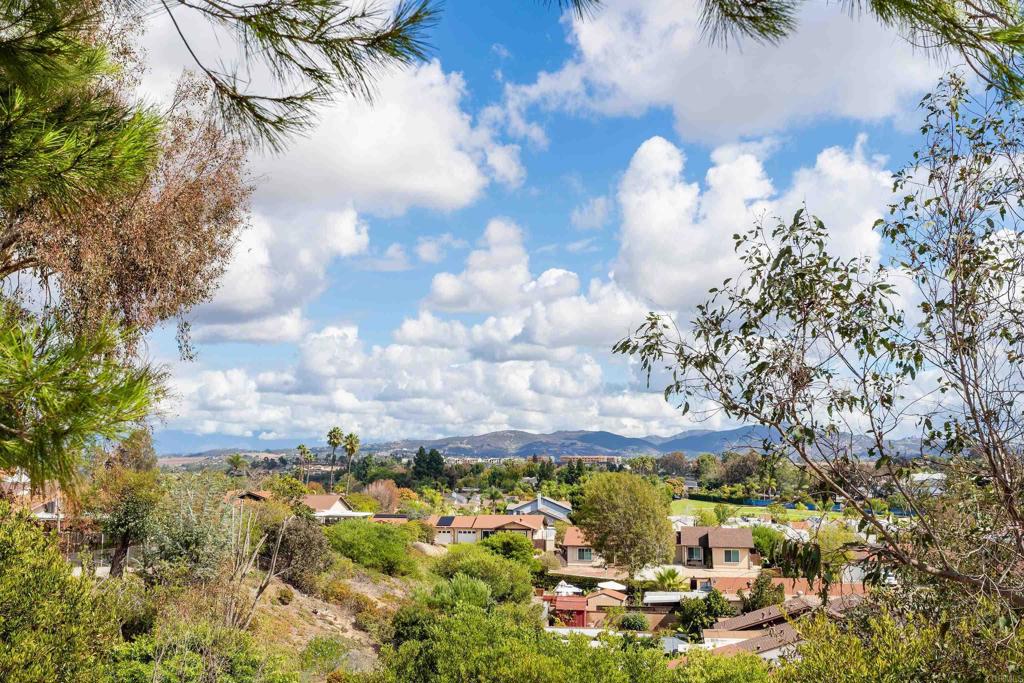 MLS #NDP2510054 image #24