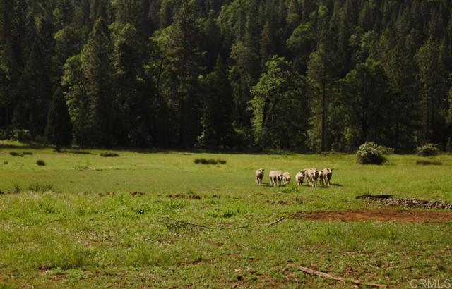 MLS #NDP2510062 image #6