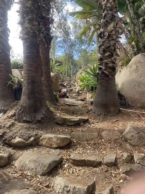 MLS #NDP2510220 image #13